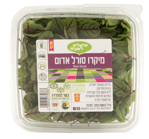 מיקרו סורל אדום