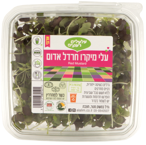 עלי מיקרו בזיל אדום