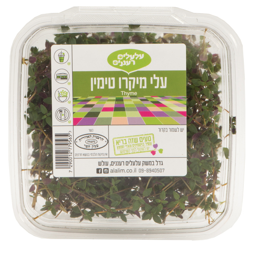 עלי מיקרו טימין