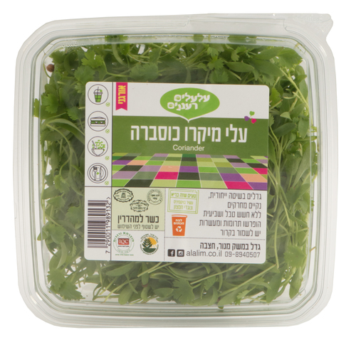 עלי מיקרו כוסברה