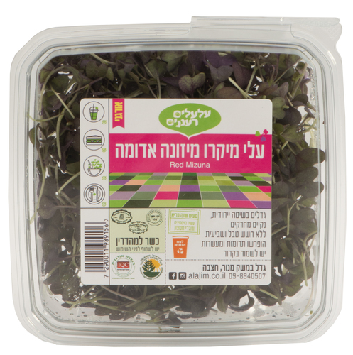 מיקרו מיזונה 