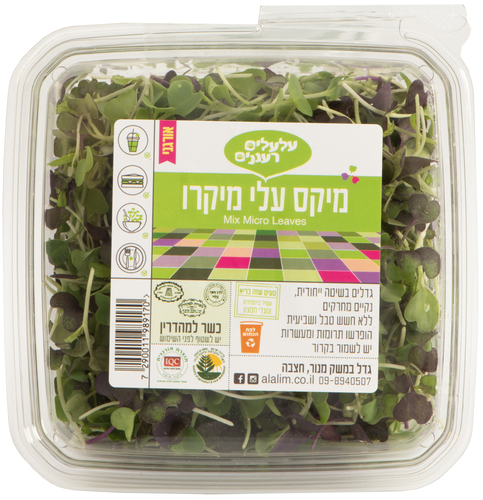 מיקס מיקרו