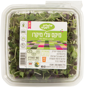 מיקס מיקרו