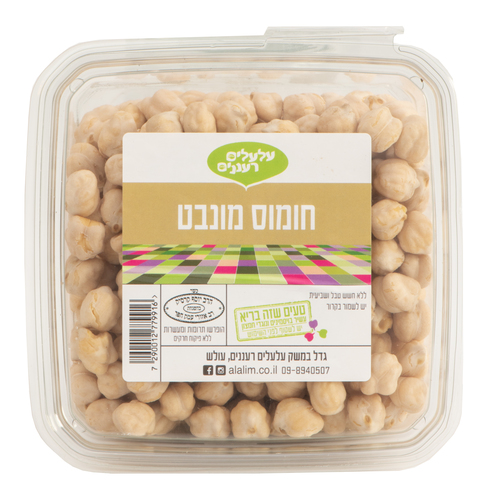 חומוס מונבט
