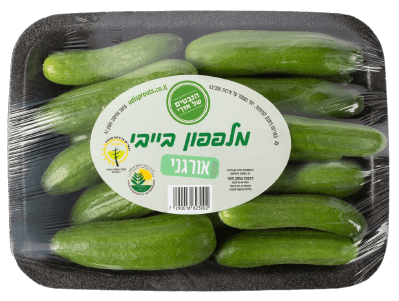 מלפפון בייבי אורגני כ-300 ג' | הנבטים של אודי