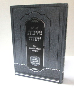 שו"ת נתיבות יהודה