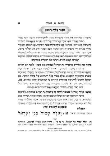 דוגמה מתוך תורה מאירה