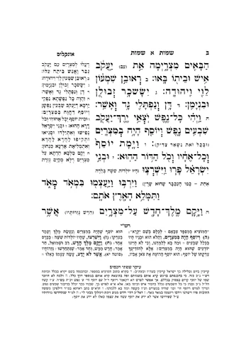דוגמה מתוך תורה מאירה