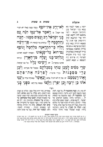 דוגמה מתוך תורה מאירה