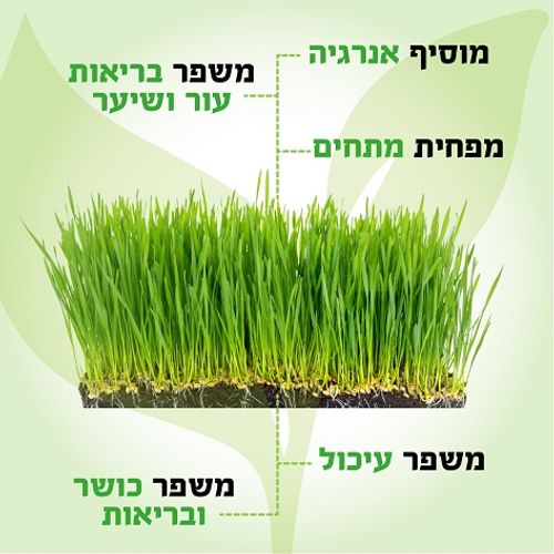 מסחטת מיצים איטית לפירות וירקות קשים ועשב חיטה UNIVERSE NRI-393