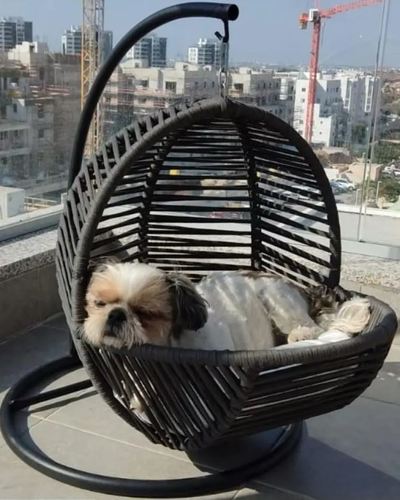 נדנדה לחתולים / כלבים בעלת מזרן רך דגם סנדי