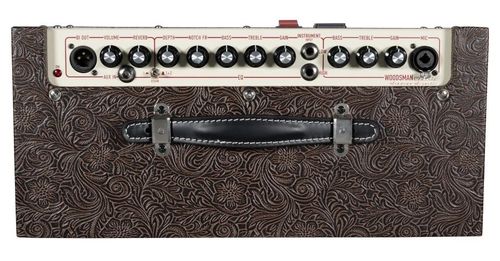 זוית נוספת Ashdown AA-WOODSMAN-CLASSIC acoustic guitar amp