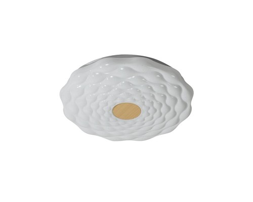 פלפוןפרח קוטר LED 50