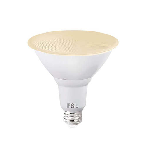 נורת פר לד 16W מוגן מים במגוון צבעים PAR LED FSL 16W