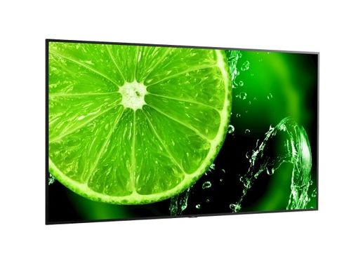 מסך מחשב Sharp/NEC MultiSync® E988  