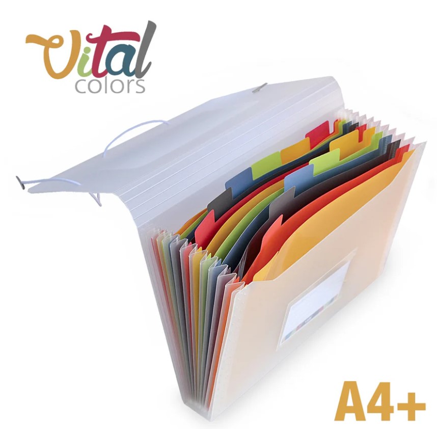 תיקיית הרמוניקה A4 (אקורדיון) , 12 תאים , סדרה VITAL COLORS