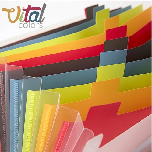 תיקיית הרמוניקה A4 (אקורדיון) , 12 תאים , סדרה VITAL COLORS