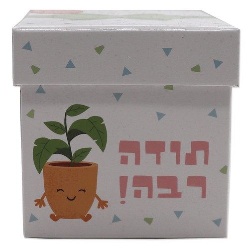 קופסת ברכה עם בובה