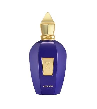 בושם יוניסקס   Xerjoff  Accento EDP 100 ml