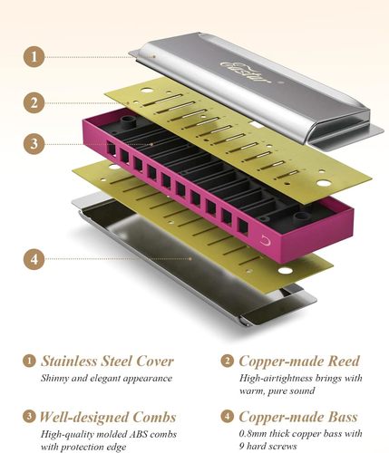 מפוחית דיאטונית 10 חורים C KEY בצבע ורוד + תיק קשיח Major Blues Harmonica מבית EASTAR
