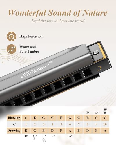 מפוחית דיאטונית 10 חורים C KEY בצבע שחור + תיק קשיח Major Blues Harmonica מבית EASTAR