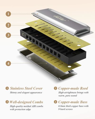 מפוחית דיאטונית 10 חורים C KEY בצבע שחור + תיק קשיח Major Blues Harmonica מבית EASTAR