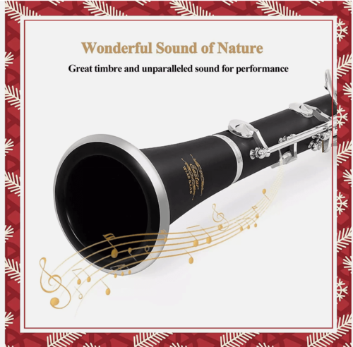 קלרינט איכותי למתחילים ומתקדמים ECL-400 כולל אביזרים נלווים ותיק נשיאה מבית EASTAR