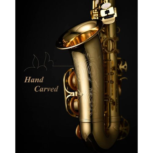 ערכת סקסופון אלט EAX21 הכוללת תיק נשיאה + פיה + רצועת צוואר + עלים וסטנד מבית EASTAR