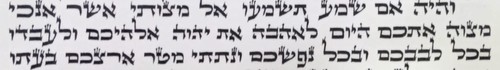 קלף מזוזה אשכנזי בגדלים וברמות הידור שונות