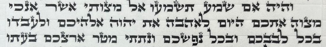 קלף מזוזה אשכנזי בגדלים וברמות הידור שונות
