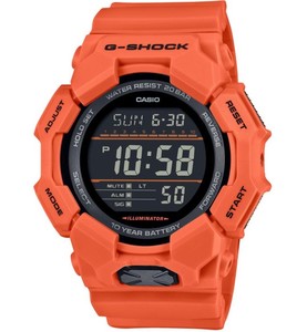 CASIO GD-010-4D סדרה חדשה