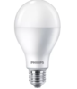 נורה Philips 14.5W E27 230VA67 LED פיליפס 6500K