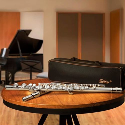 ערכת חליל צד איכותי למתחילים EFL1 כולל אביזרים נלווים ותיק נשיאה מבית EASTAR