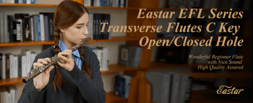 ערכת חליל צד איכותי למתחילים EFL1 כולל אביזרים נלווים ותיק נשיאה מבית EASTAR