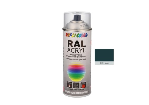 ספריי תעשייתי RAL 6004