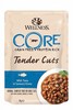 פאוץ' וולנס קור טונה חתיכות ברוטב 85 גרם Wellness Core