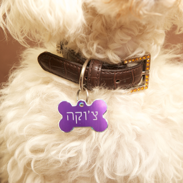 תג שם מותאם אישית לכלב ולחתול