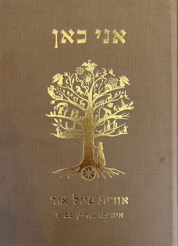 אני כאן - אורית פיול אור