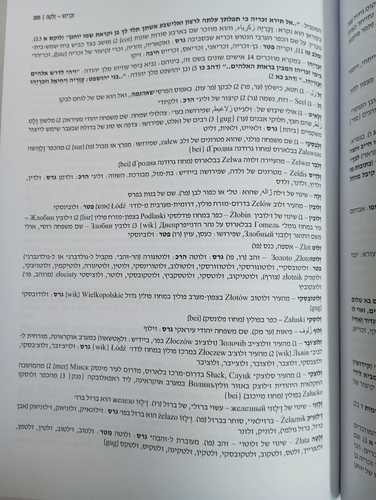 מילון שמות המשפחה בישראל