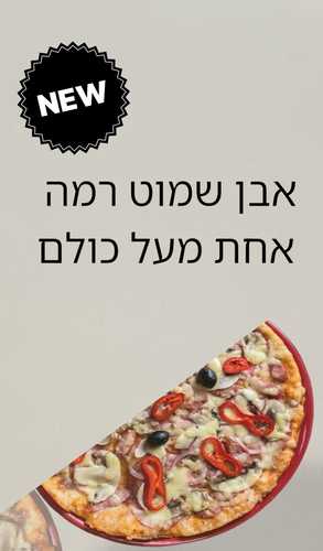 אבן שמוט מלבנית גדול לפיצה ותנור 