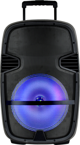 בידורית קריוקי מקצועית 15 אינץ PROAUDIO SKL3315.