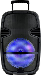 בידורית קריוקי מקצועית 15 אינץ PROAUDIO SKL3315.