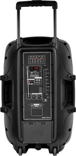 בידורית קריוקי מקצועית 15 אינץ PROAUDIO SKL3315.