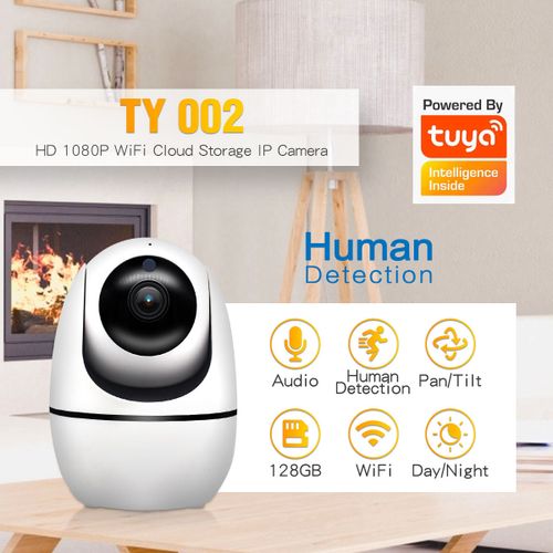 מצלמת IP פנימית TY002.