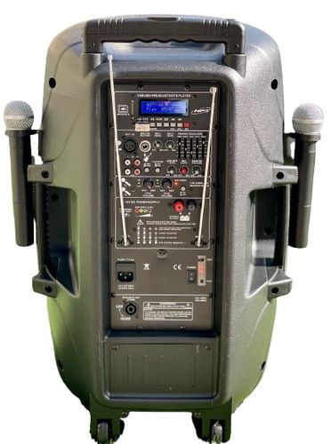 בידורית קריוקי מקצועית 15 אינץ PROAUDIO PA-515.
