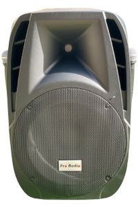 בידורית קריוקי מקצועית 12 אינץ PROAUDIO PA-512.