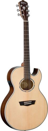 Washburn EA20SNB