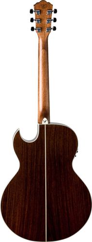 זוית נוספת Washburn EA20SNB
