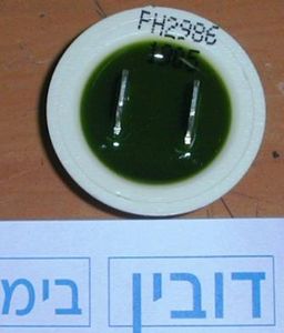 רגש למ.כ פילקו אינדסיט W63