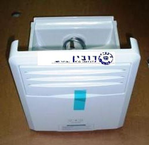 גורס קרח אמנה דייהו